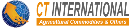 CT International logo